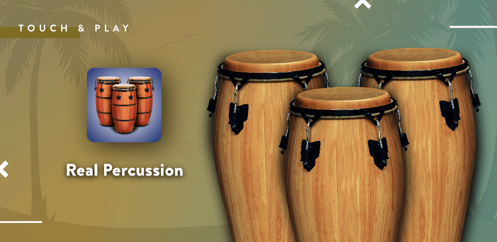 Real Percussion - v6.45.8