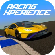 Racing Xperience: Online Race