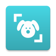 Dog Scanner: Breed Recognition