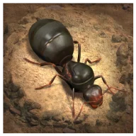 The Ants: Underground Kingdom